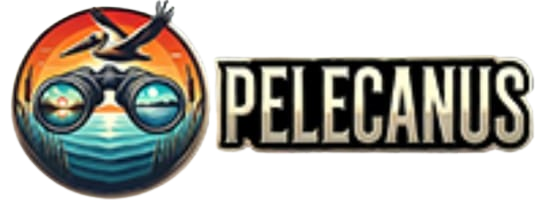 Pelecanus