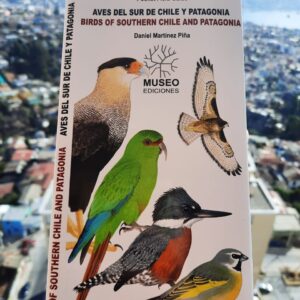 Aves del sur de chile y patagonia