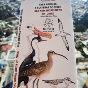 Aves  Matinas y Playeras de Chile
