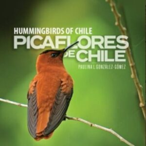 Picaflores de Chile